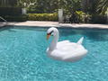 Luxury Inflatable Swan Pool Float